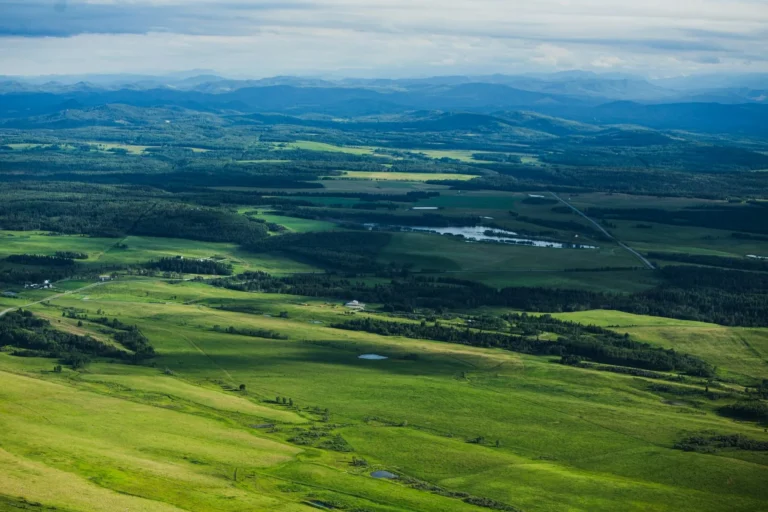 Green rolling foothills under a wide Alberta sky